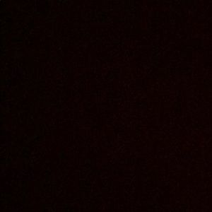 Meet your Posher, Ava